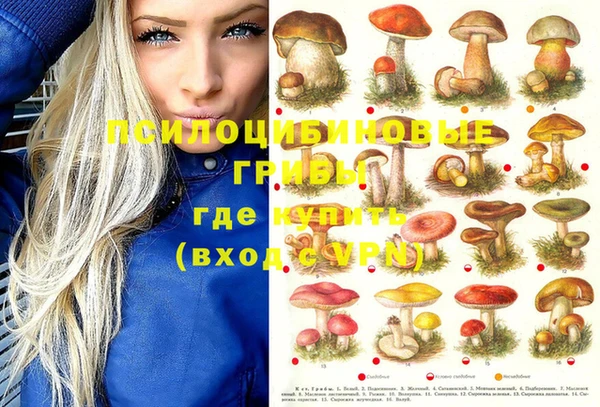 индика Остров