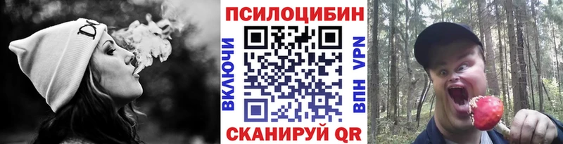 продажа наркотиков  Великие Луки  Псилоцибиновые грибы Psilocybe 