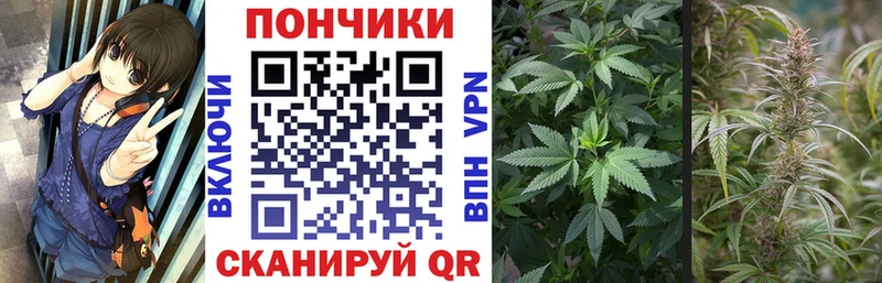 мориарти формула Великие Луки Конопля конопля